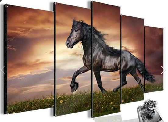 Bộ điều khiển treo tường video HDMI 20W đa góc với tính nghệ thuật tự do